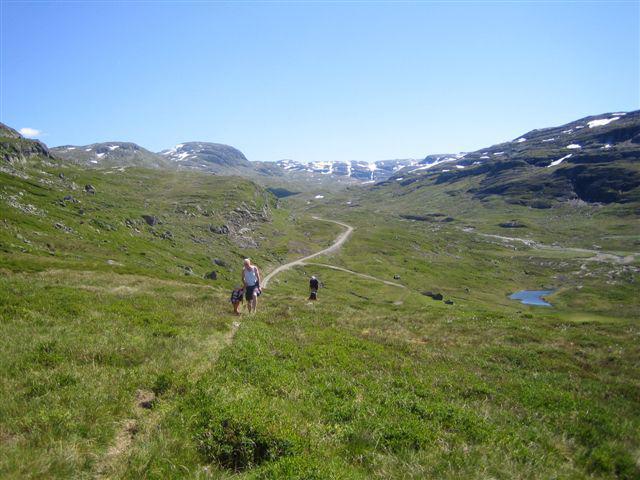 Seim Camping - Røldal Dış mekan fotoğraf